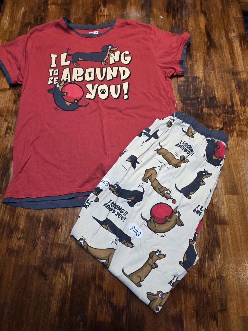 Lazy One Pajama Set Women's Size M Dachshund Shirt Pants Top Bottom Dog
